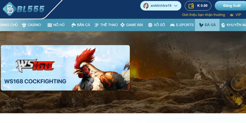 Giao diện dễ sử dụng